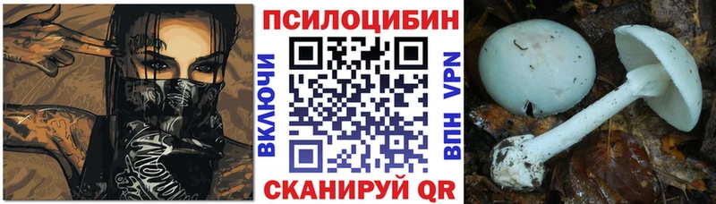 купить наркотики цена  Нефтекумск  Псилоцибиновые грибы MAGIC MUSHROOMS 